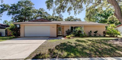 2066 Nugget Drive, Clearwater