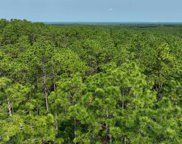 Dolive Ave, Bay Minette image