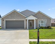 337 Lowline Dr, Clarksville image