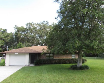 20923 Sw Starling Drive, Dunnellon