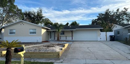4828 Judy Ann Court, Orlando