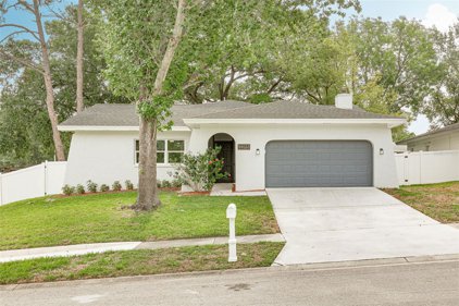 2285 Grove Valley Avenue, Palm Harbor