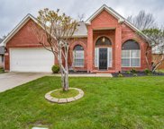 10111 Carano  Court, Irving image
