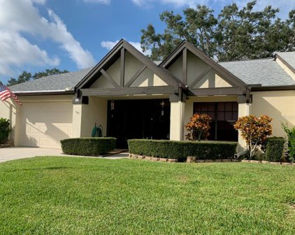 800 Lakewood Drive, Palm Harbor