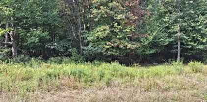 Lot 97 Ashwood Trl, Winchester