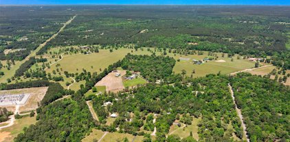 13093 & 12615 Browder Traylor Road, Willis