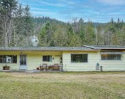 27473 Dogwood Valley Road, Hope image