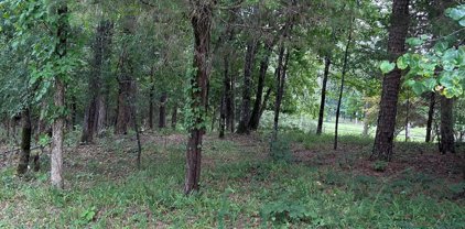 31 Campana, Hot Springs Village