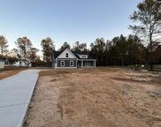311 Mallard Drive, Chapin image