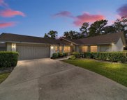 38 S Masters Drive, Homosassa image
