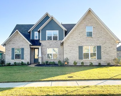 13363 N Fields Lane, Olive Branch