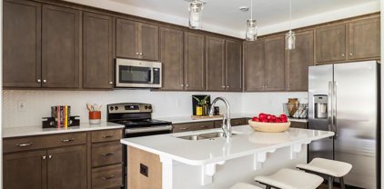 214 Brooks Springs  Drive, Fort Mill