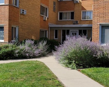 1619 W Howard Street Unit #B-3, Evanston