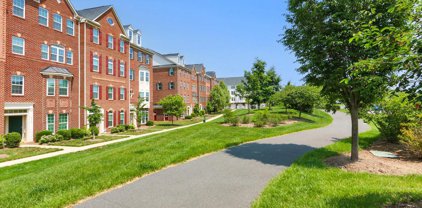 21708 Pattyjean Ter, Ashburn
