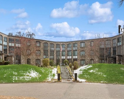 1850 Eagle Ridge Drive Unit #E208, Mendota Heights