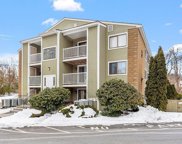 3 Bridgeview Circle Unit 43, Tyngsborough image