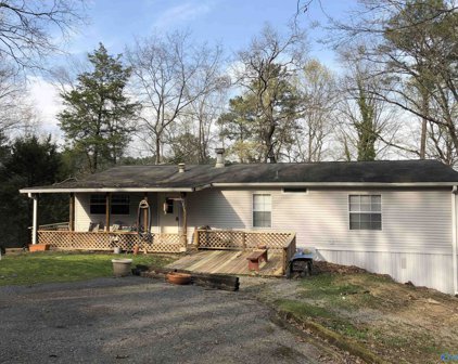 334 County Road 620, Cedar Bluff