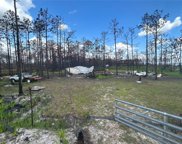 River Ranch, Frostproof image