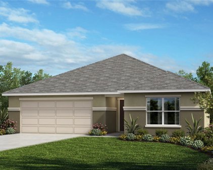9469 Sanders Park Place, Seffner