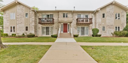 918 Rogers Street Unit #202, Downers Grove