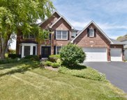 2523 Wild Timothy Road, Naperville image