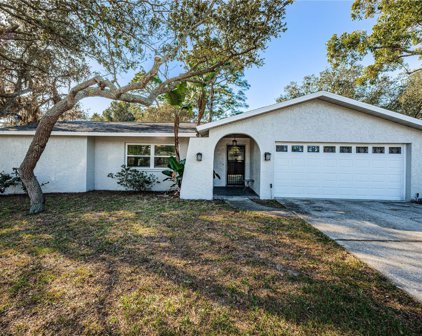 1100 E Lime Street, Tarpon Springs