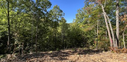 Caney Creek Lot 5, Pigeon Forge