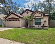 4105 Quail Briar Drive, Valrico image