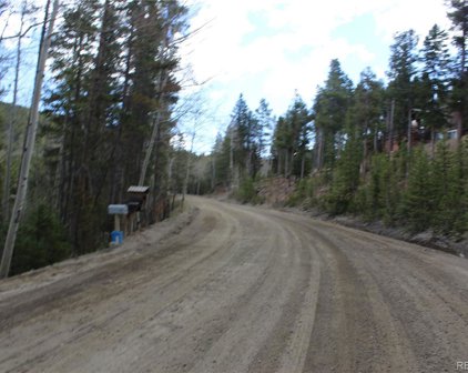2060 Little Bear Creek Road, Idaho Springs
