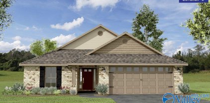 305 Carnation Avenue, Meridianville