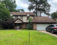 19314 Spoonwood Court, Humble image