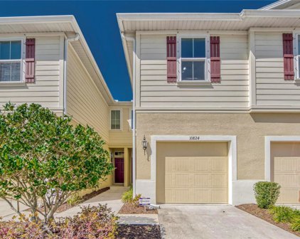 10824 Verawood Drive, Riverview