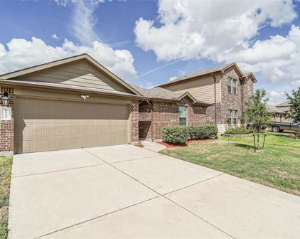 8514 Sacred Lotus Way Lane, Rosharon