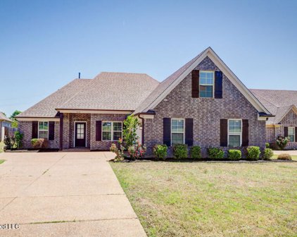 3510 Champion Hills Drive, Southaven