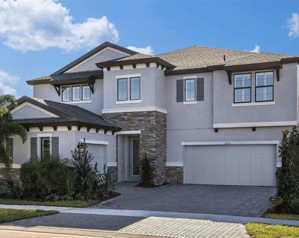 12729 Hammock Park Drive, Riverview