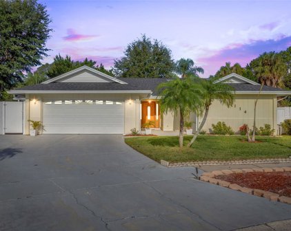 7114 Edenwood Place, Tampa