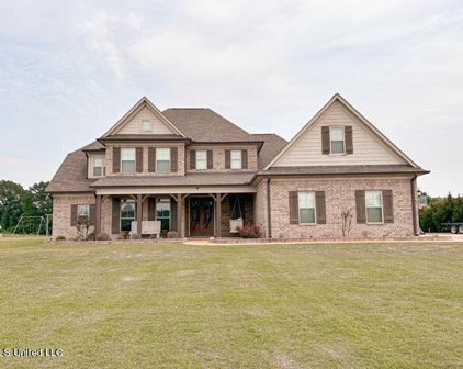 2652 Horn Lake Road, Hernando