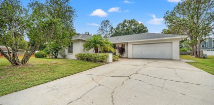 22360 Southshore Drive, Land O' Lakes