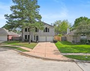 18311 Hollow Branch Court, Cypress image