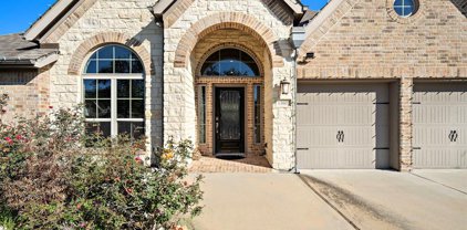 13602 Lightning Falls Lane, Pearland