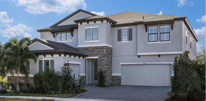 12729 Hammock Park Drive, Riverview