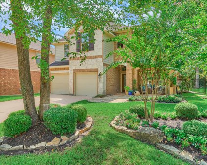 127 Black Swan Place, The Woodlands