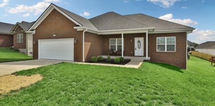 952 Thoroughbred, Shelbyville