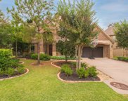58 Shallowford Place, Tomball image