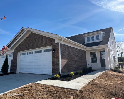 7B Exploration Path, Shelbyville
