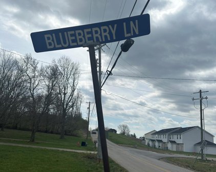 100-146  Blueberry Lane, Winchester