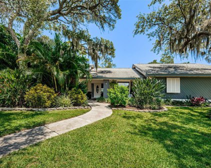 3094 Enisglen Drive, Palm Harbor
