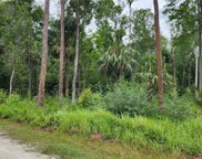 Shelley Trail, Kissimmee image