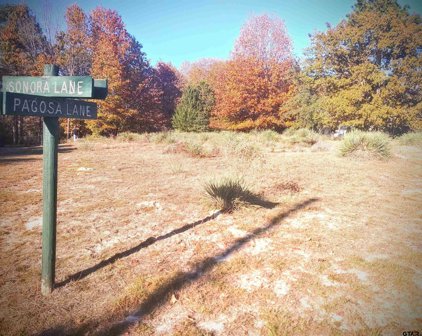 TBD Pagosa Lane, Holly Lake Ranch