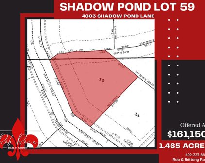 4803 Shadow Pond Ln, Alvin